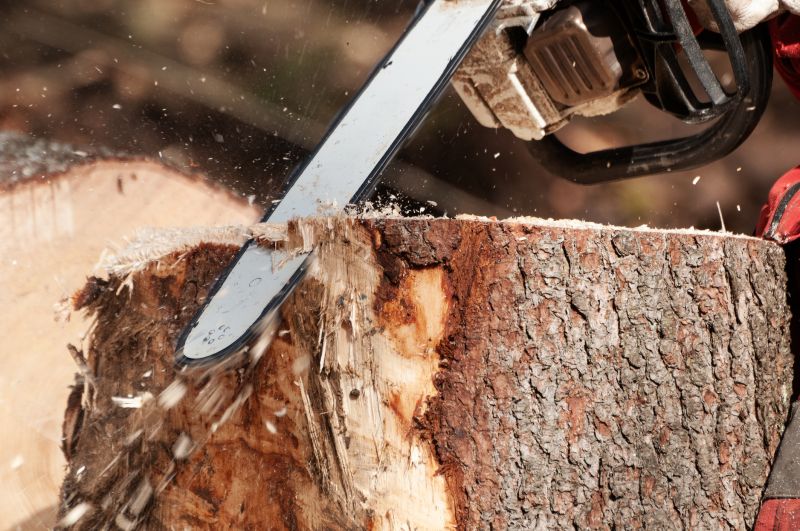 Dead Tree Removal in Pottstown, PA