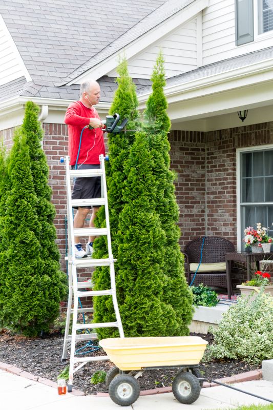 Evergreen Hedge Trimming in Ventura County, CA
