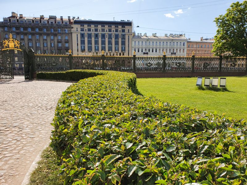 Trimmed Shrub with Clear Lines