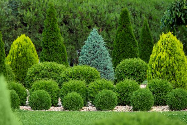 Grow your Bush Shaping Service business